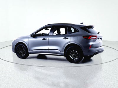 2025 Ford Escape ST-Line Elite