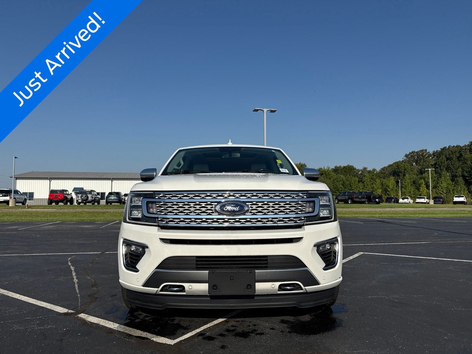 2020 Ford Expedition Platinum